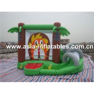 Quality Popular Mini Inflatable Jumping Bouncers for sale