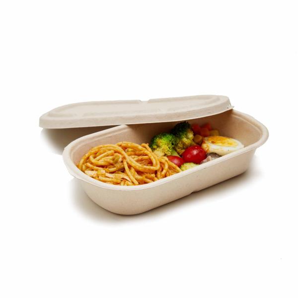 25OZ Biodegradable Clamshell Containers Take Out Box For Fast Food