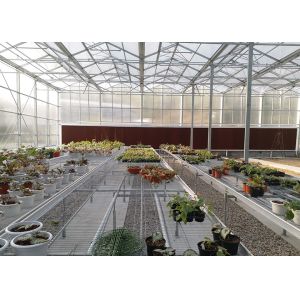 Quality High Transparency &amp; Durable PC Material, Spacious Interior PC Greenhouse - Ideal For Year Round Plant Cultivation for sale