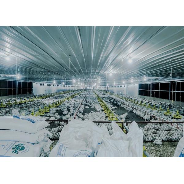 1.1kw Automatic Chicken Feeders And Waterers 450kg/H Delivery