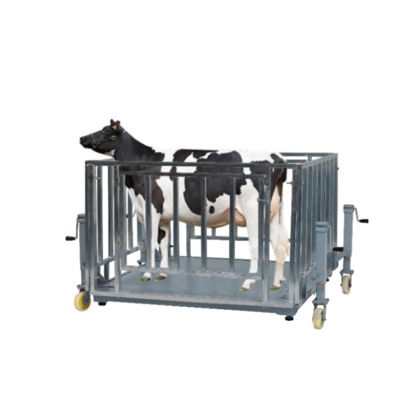 Customized OBM Support Digital Livestock Scale for Sheep Cattle Poultry Farm 2000KG Weight Limit Fence and Panel Included