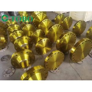 TOBO A105 WN RF/ BL RF FLANGE COATING AS YOU CUSTOMIZED