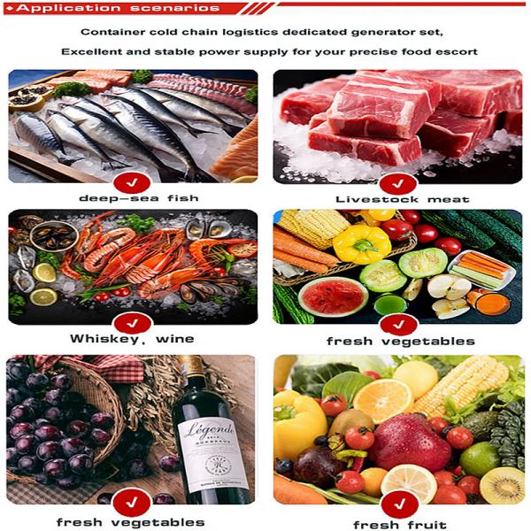 Reefer Container Generator Set Perkins Engine 60Hz 1800rmp Clip On Generator For Reefer