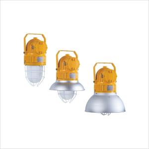Quality BDD91 Series Industrial Explosion Proof Pendant Lighting With 3800-56500lm Luminous for sale