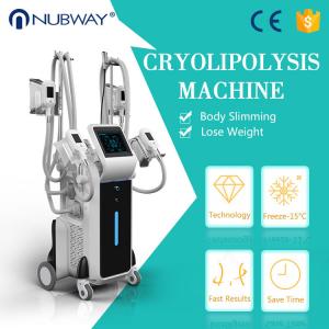 China cryolipolysis 4 handles and double chin handle vacuum weight lose beauty slimming machine on sale