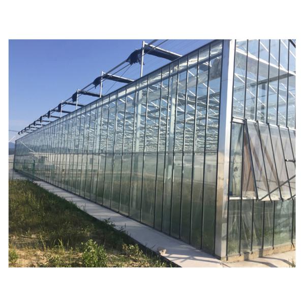 Multi-span Agricultural Glass Greenhouse with Film Covering Width 8m or Customizable