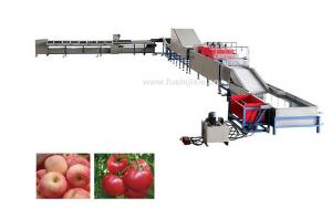 Quality Automatic Electronic Fruit Washing And Waxing Machine 5MT/H for sale