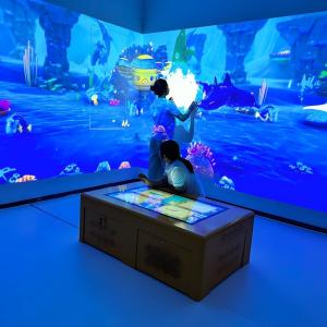 Popular AR Interactive Table Painting Projector Games 110V-250V