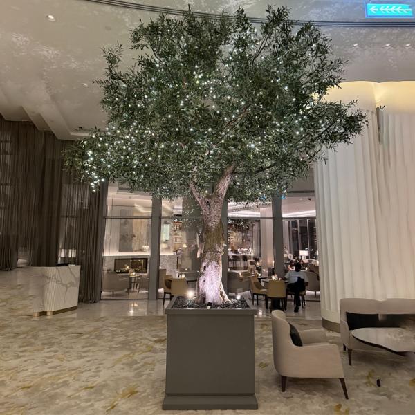Factory Price Large Artificial Olive Tree, a Large Ornamental Fiberglass Tree for Indoor Restaurants and Shopping Malls