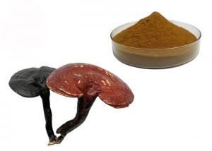 Quality 50% Purity Ganoderma Lucidum Reishi Mushroom Extract Powder for sale