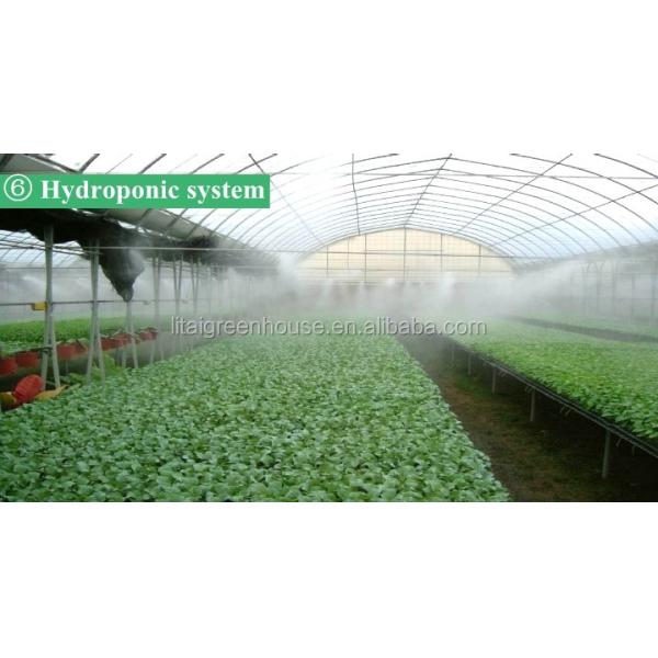 Large Hot Galvanized Steel Structure Gutter Connected Greenhouse with Height 3.0-4.8m