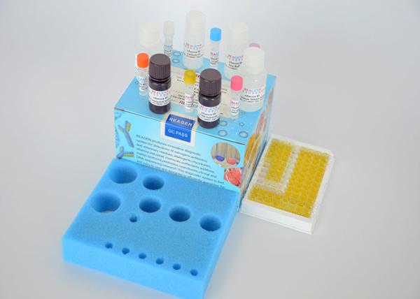 Buy High Reproducibility Veterinary Residue Test Kit Streptomycin ELISA Test Kit at wholesale prices