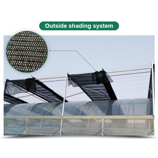 Customized Length Film Multi-Span Greenhouse with Film Cover at Affordable