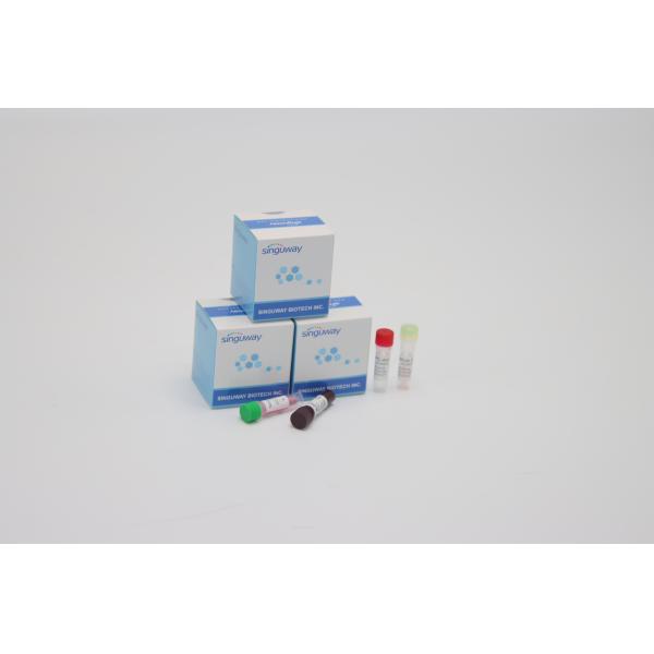 CE Coronavirus Test Real Time PCR Diagnostic Kits Ultrafast Within 30 Minutes