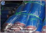 Hot Selling 100% HDPE 16 X 16 Eyes Blue Nylon Net for Thailand Market