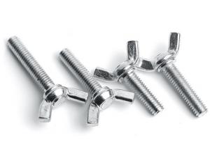 A2-70 Grade 304 Stainless Steel Bolts Wing Nut Screw Bolt Plain Finish