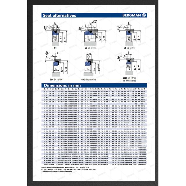 BERGMAN Replaces Hyster 28.6mm 38.1mm 50.8mm Pump Mechanical Seal