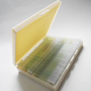 Human Histology Tissue Teaching 100piece Prepared Microscope Slides Sets In