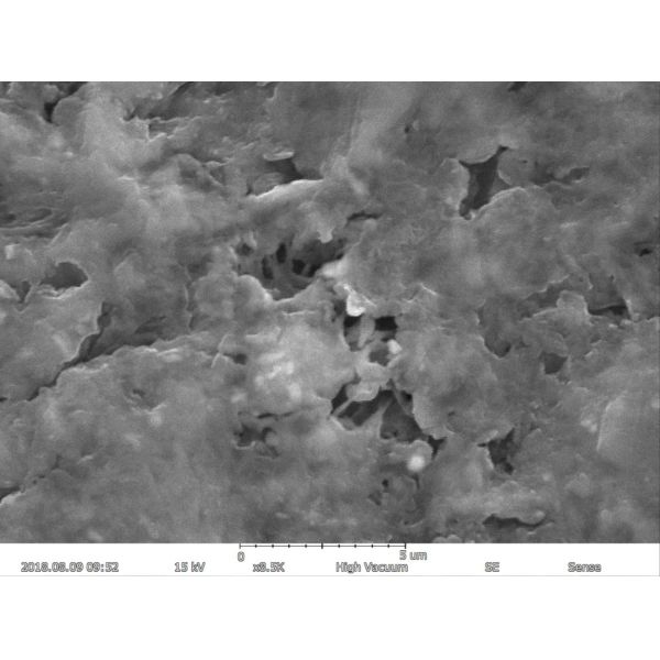 Magnification Max 150000X Scanning Electron Microscope 5nm Resolution EDS BSE