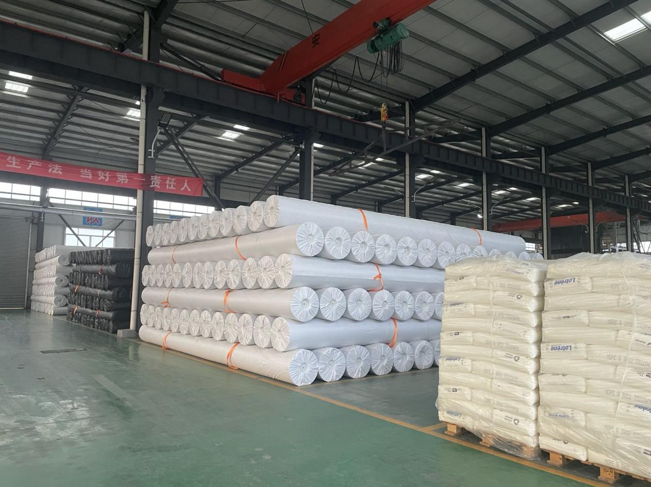 0.5mm 0.75mm HDPE Geomembrane Plastic Liner for Pond Dam Design Style geomembrane