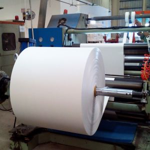 Quality 1 Side PE Coated Paper 100% virgin pulp paper for sale