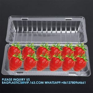 Wholesale Transparent Fresh Strawberry Packaging Container Supermarket Food