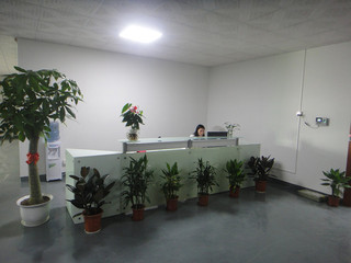 Led Solar Keychain Custom Logo Colorful Personalized Solar Keychains Promotional