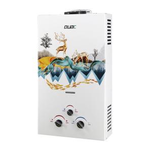 Quality Wholesale Flue Exhaust Type 10L 20KW Instant Gas Water Heater for sale