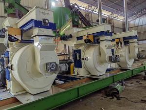 China Automatic 10t/h Wood Pellet Plant Machine Manufacture PLC Control on sale
