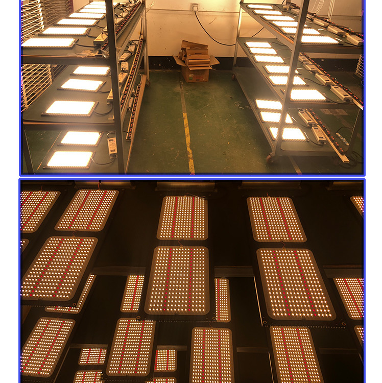 240W Samsung Lm301h Waterproof Led Grow Light Bar