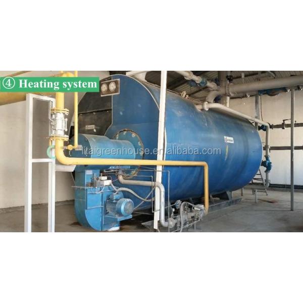 Large Hot Galvanized Steel Structure Gutter Connected Greenhouse with Height 3.0-4.8m