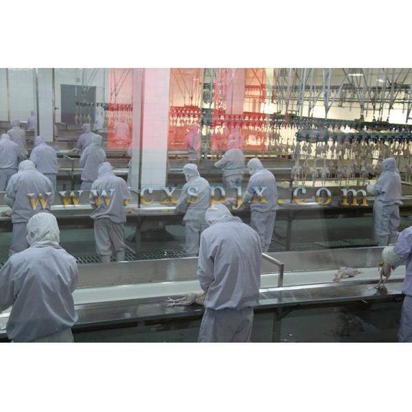 Customized Chicken Duck Turkey Goose Slaughter Machine 2000BPH For Poultry