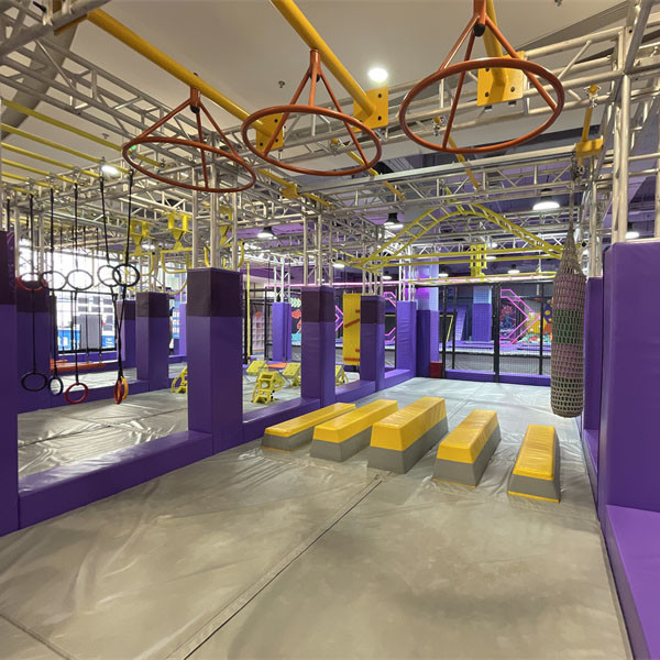 Ninja Athletics Indoor Playground with Ball Pit and Play Zone