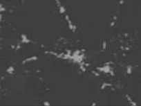 Indexable PCD Inserts Pcd Tipped Blade For Machining Ferrous Metal