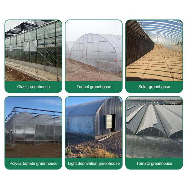 Plastic Shed Winter Tomato Greenhouse for Crops Width Defined by Area