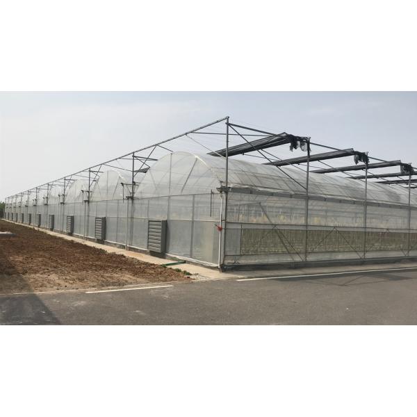 Galvanized Skeleton Cover Film for Agricultural Product in Shouguang Easy to Install