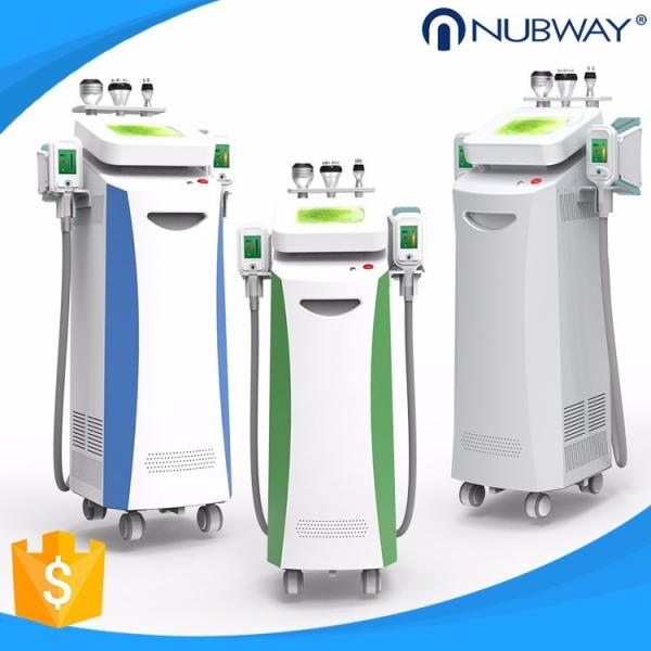 Buy 2018 new design Cryolipo best fat removal cryolipolysis machine price at wholesale prices