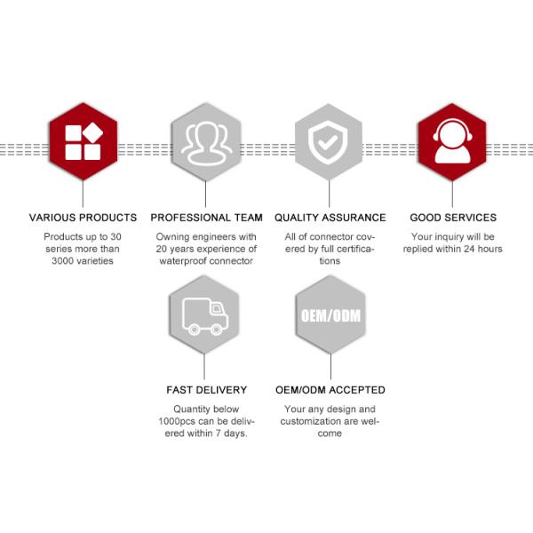 Push Locking 10A Waterproof Connectors 2 Pin Wire To Wire Cable Plug Easy Installation