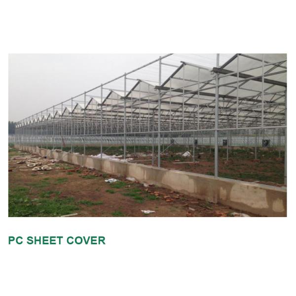 American Tomato Agriculture Polycarbonate Greenhouse Equipped with Hydroponic Systems