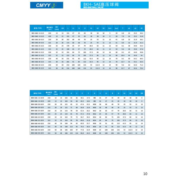 EXW Thread Straight Hydraulic Ball Valve High Pressure Cut-Off Valves