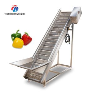 Quality Commercial Electric Vegetable Elevator Machine Food Processor for sale
