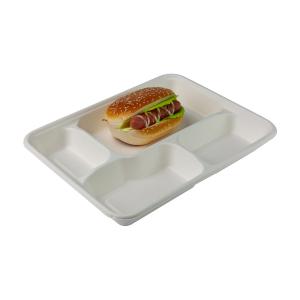 Quality Takeaway Biodegradable Clamshell Boxes , Divided Disposable Bento Box With Lid for sale