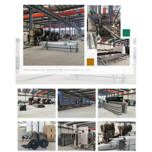 Plastic Shed Winter Tomato Greenhouse for Crops Width Defined by Area