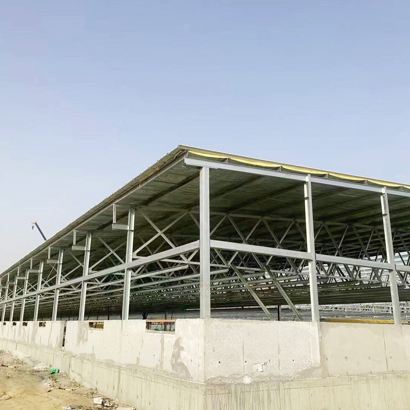 Steel Structure Warehouse Steel Frame Warehouse with Insulated Sandwich Panel or Steel Color Sheet