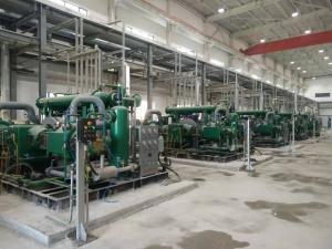 Quality Stainless Steel Gas Cryogenic Hydrogen Purifier Compression Skid for sale