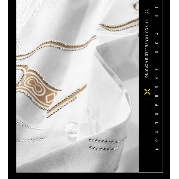 Digital Printing Horse Long Sleeve Custom Men's Cotton Fitted Plain Shirt for Autumn