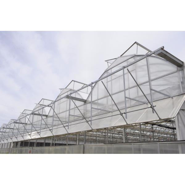 Gear Motor for Multi-Span Agricultural Greenhouses Shading and Ventilation System
