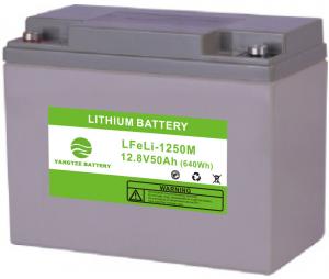 Quality Deep Cycle LiFePo4 Lithium Ion Solar Battery 12V 50AH Solar Panels Energy storage for sale