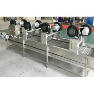 Fresh Mango Fruit Processing Line 2 Tons Per Hour