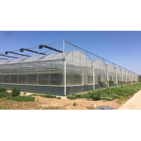 Galvanized Skeleton Cover Film for Agricultural Product in Shouguang Easy to Install